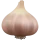 Garlic iOS emoji